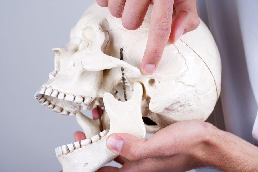 rehabilitacio craniofacial i transtorns temporomandibulars ambbones laura fortuny